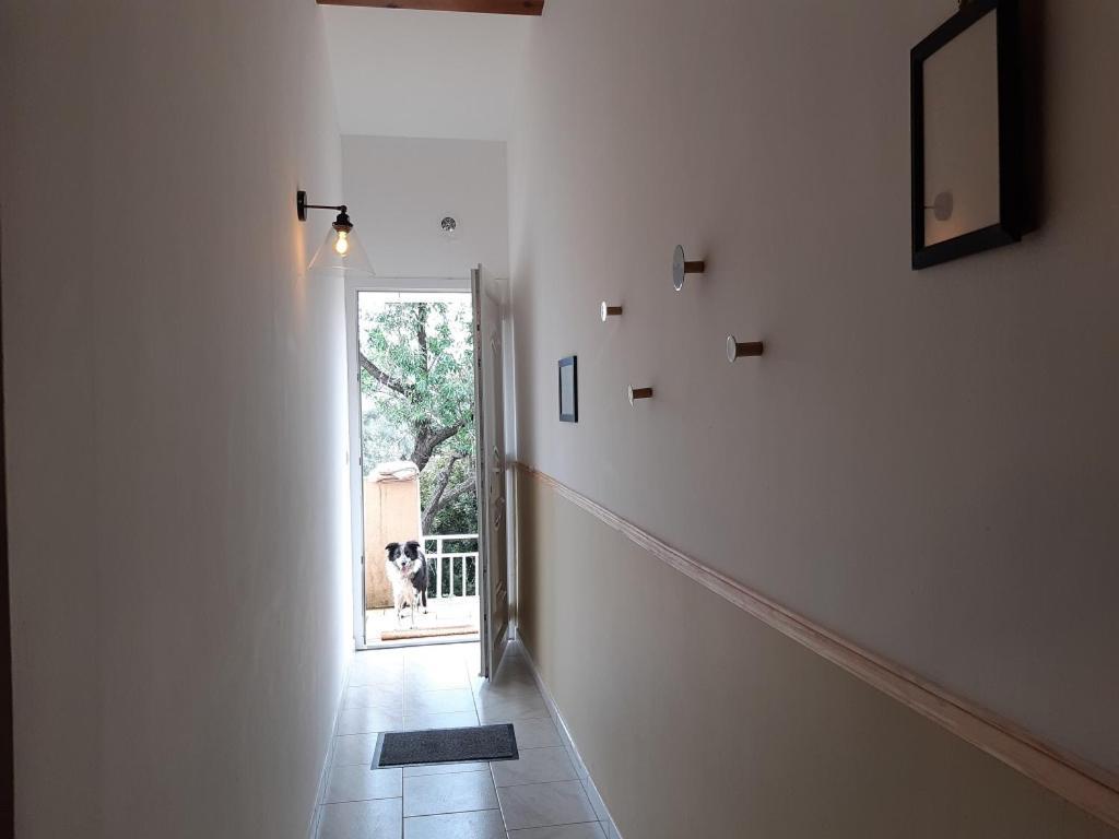 A Casa Di Paulina Lägenhet Serra-di-Ferro  Exteriör bild